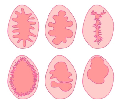 Bløffen om jomfruhinna